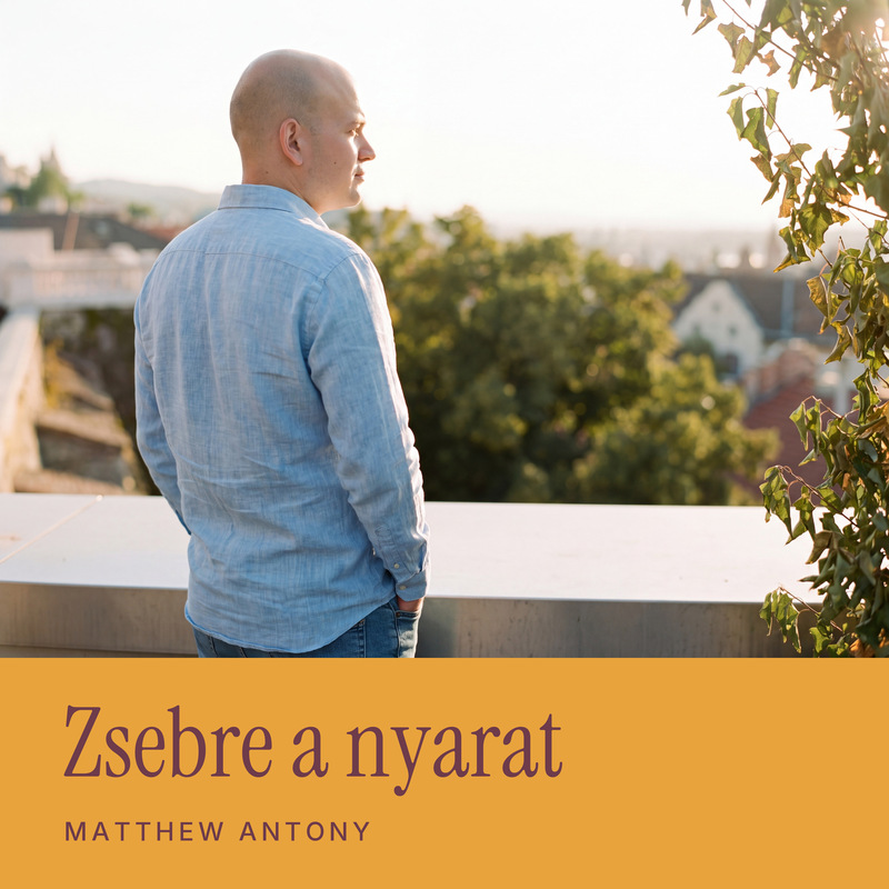 Zsebre a nyarat